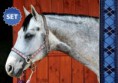 /album/fotogaleria-ohlavka-a-roma/kantar-api-roma-w-romby-tmavomodromodry-full-cob-pony-jpg1/